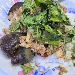 กะเพรา ไข่เยี่ยวม้า ทีเด็ด+ไข่ดาว