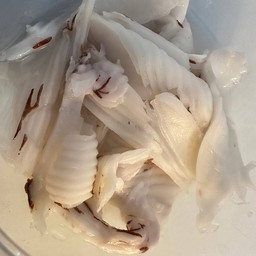 เนื้อมะพร้าว