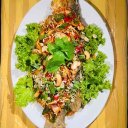 ปลากระพงลุยสวน