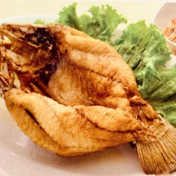 ปลากระพงทอดน้ำปลา(ตัว)