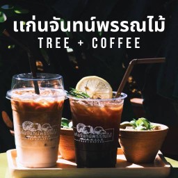 เเก่นจันทน์พรรณไม้ TREE + COFFEE