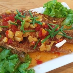 ปลาทับทิมสามรส