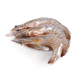 หม่านิว หมาล่าทั่ง หัวหิน88