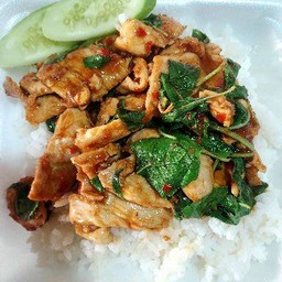 กะเพราไก่