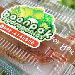 บ้านผัก สลัดปลูกเอง