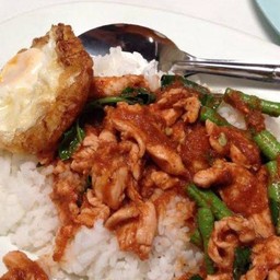 ไก่ผัดพริกเผาราดข้าว ไข่ดาว