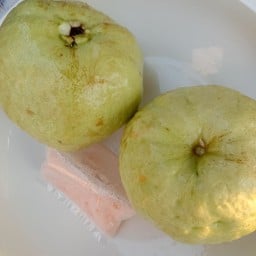 ฝรั่งกิมจู