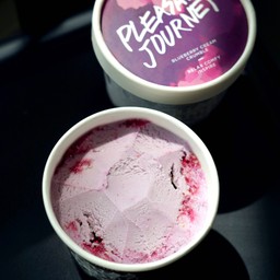 Pleasant Journey (Cup 85g)