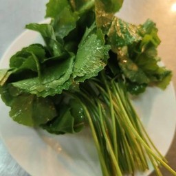 ใบบัวบก