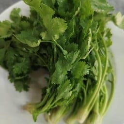 ผักชีไทย