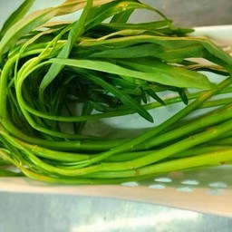 ผักบุ้งจีน