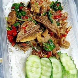 ผัดกระเพราเนื้อเปื่อย