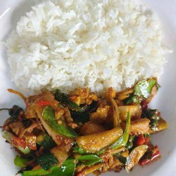 ข้าวราดผัดเผ็ดหมูป่า