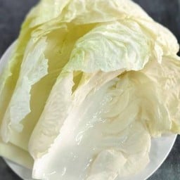 ผักกาดขาว