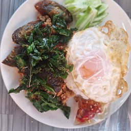 กระเพาไข่เยี่ยวม้าหมู+ไข่ดาว..(หรือไข่เจียวโปรดระบุ)