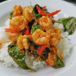 ข้าวกะเพรากุ้ง พระราม9