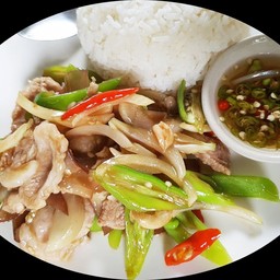 ข้าวราดพริกสดหมู