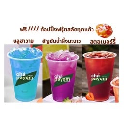 SET สุดคุ้ม น้ำผลไม้ดับร้อน ฟรีฟรุ๊ตสลัด