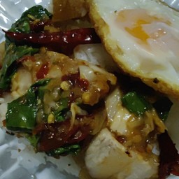 กินดิกะเพรา