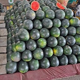 เฮียพายัพ แตงโม&แคนตาลูป