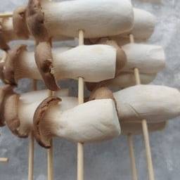 เห็ดนางรมหลวง