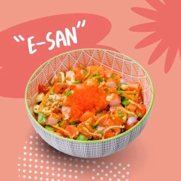 E-SAN