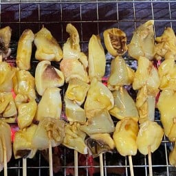 หมึกย่างตู้ทึบ ข้างสวนสาธารณะเขลางค์