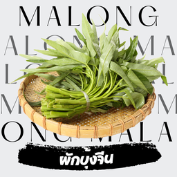 ผักบุ้งจีน 50 กรัม