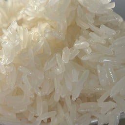 นัวคักอีสานใต้