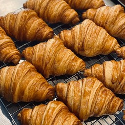 Plain Croissant