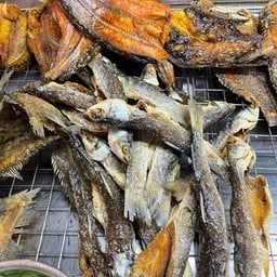 ปลากะบอก