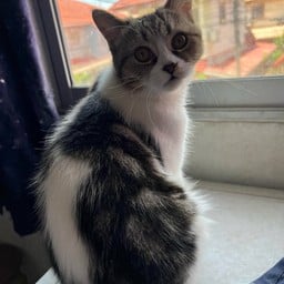 หมูปิ้งสูตรโบราณ by เจ้มิลค์