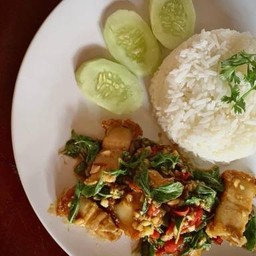 ข้าวกะเพราหมูกรอบ