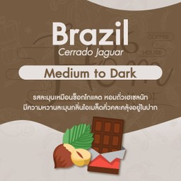 เมล็ด Brazil Cerrado Jaguar