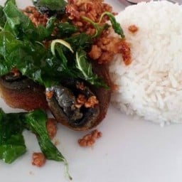 กะเพราไข่เยี่ยวม้าหมูสับ ราดข้าว