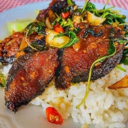 กะเพราปลาดุก ราดข้าว