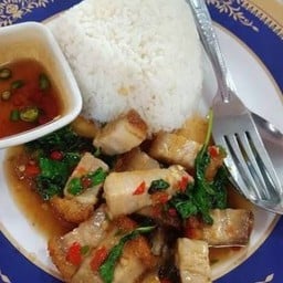 ข้าวราดกระเพราหมูกรอบ