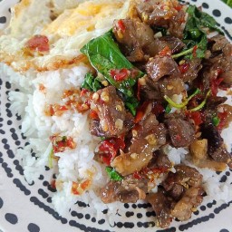 เมเปิ้ล&ตอง กะเพราแซ่บ