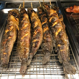 ปลาดุกย่าง