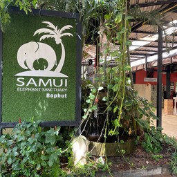 Samui Elephant Sanctuary Bophut