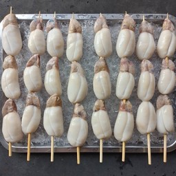 ไข่หมึกกระดอง