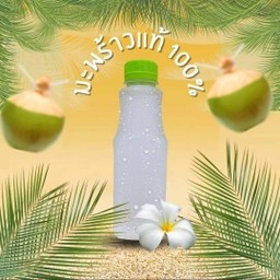 โปร3ขวด]น้ำมะพร้าวมีเนื้อบ้านแพ้วแท้100% (300ml)