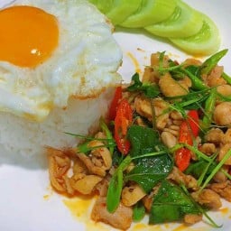 กะเพรารสเด็ดคุณย่า สูตรพริกแห้งโบราณ