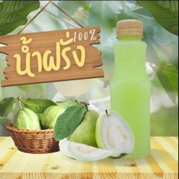 น้ำฝรั่งแท้100% (พันธุ์กิมจู)