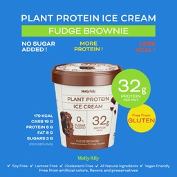 (320g) Plant Protein Ice cream - Fudge Brownie