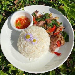 กะเพรากั้ง  (ราดข้าว)