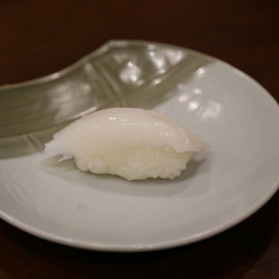 หมึกหิมะ