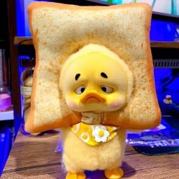 ปังซ่าหน้าโล้น