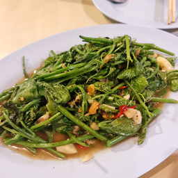 ผัดยอดมะระ