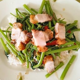 ข้าวราดผัดผักบุ้งหมูกรอบ
